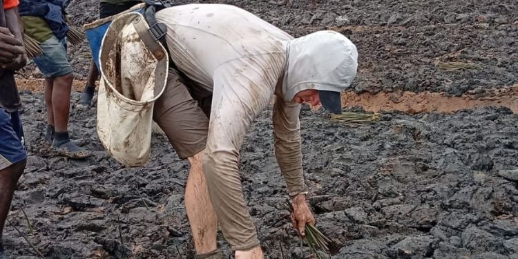 Canadian Environmentalist Antoine Moses Sets New Mangrove Planting Record in Mombasa