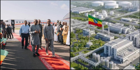 Dangote Supercharges $4 Billion Fertilizer Project in Ethiopia